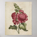 Suche nach vintager schrift poster Blume