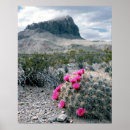 Suche nach texas landschaft poster Usa