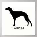 Suche nach whippet poster Tier