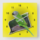 Suche nach düster wanduhren Papagei