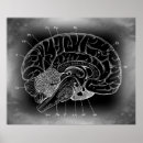 Suche nach neurologie poster Psychologie