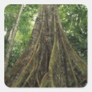 Suche nach costa rica aufkleber Regenwald