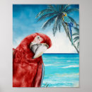 Suche nach parrot poster Aquarell