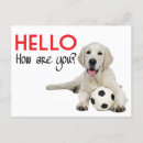 Suche nach gelbes labrador retriever postkarten Welpen