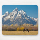 Suche nach moose mousepads Gras