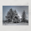 Suche nach winterlandschaften postkarten Kälte