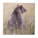 Suche nach grizzly fliesen Braun
