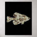 Suche nach digitale camouflage poster Meer
