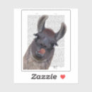 Suche nach lustige lamas aufkleber Niedlicher lama