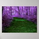 Suche nach waldweg poster Pfad