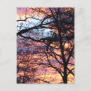 Suche nach bunte bäume poster postkarten Sonnenaufgang