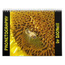 Suche nach honigbiene kalender Rose