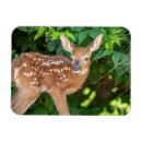 Suche nach neugeboren magnete Für alle