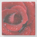 Suche nach graben untersetzer Rose