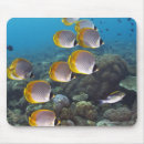 Suche nach indonesisch mousepads Tier