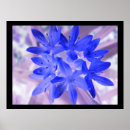 Suche nach weg des ruhmes poster Blau