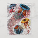 Suche nach anemonen postkarten Blume