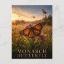 Suche nach monarchfalter postkarten Für alle