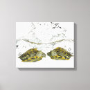 Suche nach schildkröte leinwandbilder Reptilien