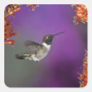 Suche nach mcdonalds aufkleber Beitreten