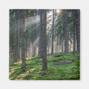 Suche nach schwarzwald magnete Schwarzer wald