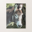 Suche nach niedlicher esel puzzle Tier