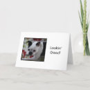 Suche nach terrier karten Jede person