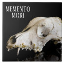 Suche nach anatomie fliesen Schädel