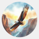 Suche nach eagle aufkleber Canyon