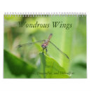 Suche nach flügel kalender Schmetterling