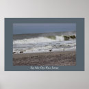 Suche nach seeigel poster Strand