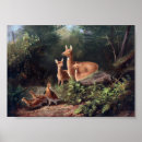 Suche nach büchse poster Tiere