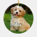 Suche nach hunde ornamente Weihnachten