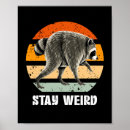 Suche nach lustiger waschbär poster Wild