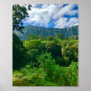 Suche nach regenwälder poster Natur