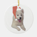 Suche nach samoyed ornamente Verzierung