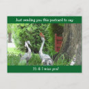 Suche nach kardinal postkarten Tiere