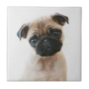 Suche nach möpse untersetzer Bezaubernd