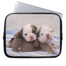 Suche nach bulldogge laptop schutzhüllen Welpe