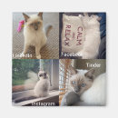 Suche nach katzen magnete Kitty