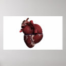Suche nach veins poster Horizontal