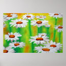 Suche nach wildflower painting poster Floral