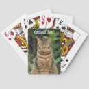 Suche nach verrückte katze spielkarten Haustier