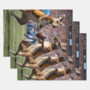 Suche nach kängurus geschenkpapier Für alle