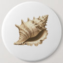 Suche nach muschel buttons Strand