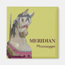 Suche nach meridian magnete Mississippi