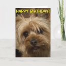 Suche nach yorkshire terrier geburtstag karten Yorkie