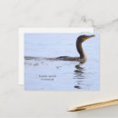 Suche nach kormoran postkarten Vögel