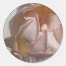Suche nach rosen umschlag aufkleber Rosa