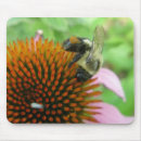 Suche nach ostern mousepads Natur